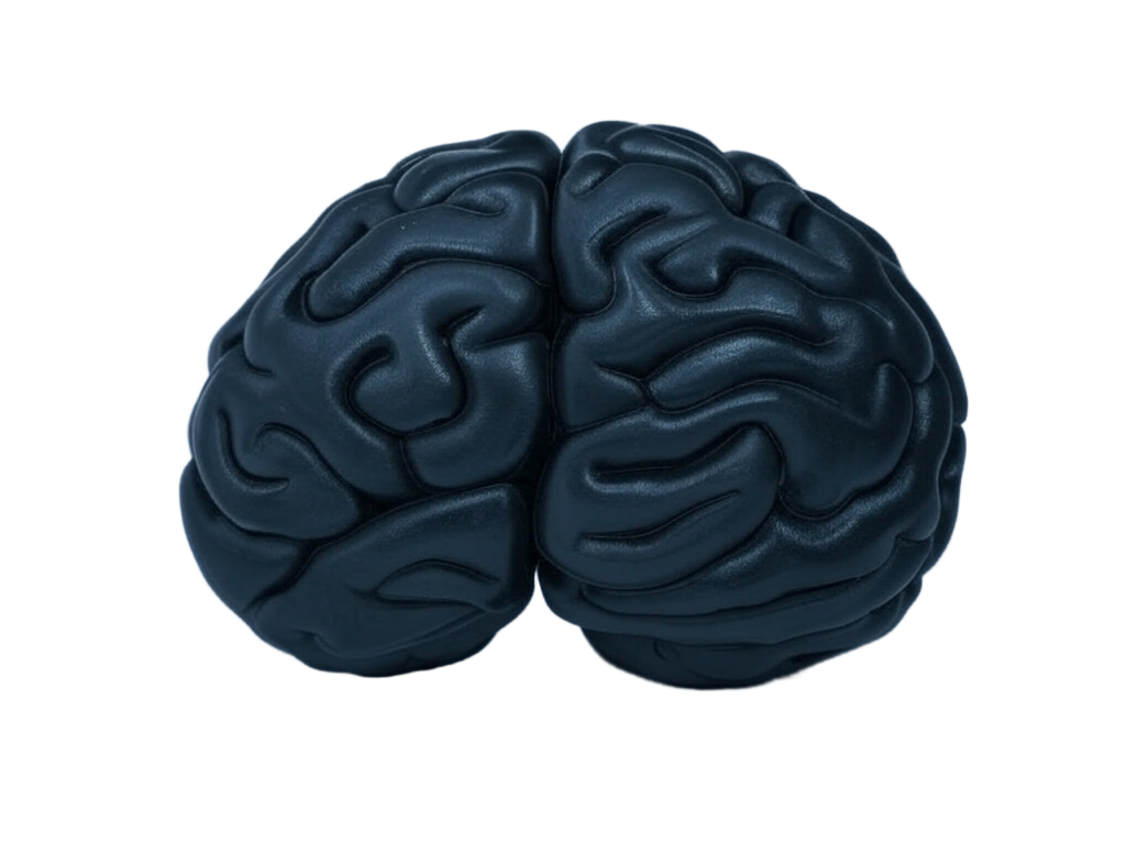 Brain visualization 1